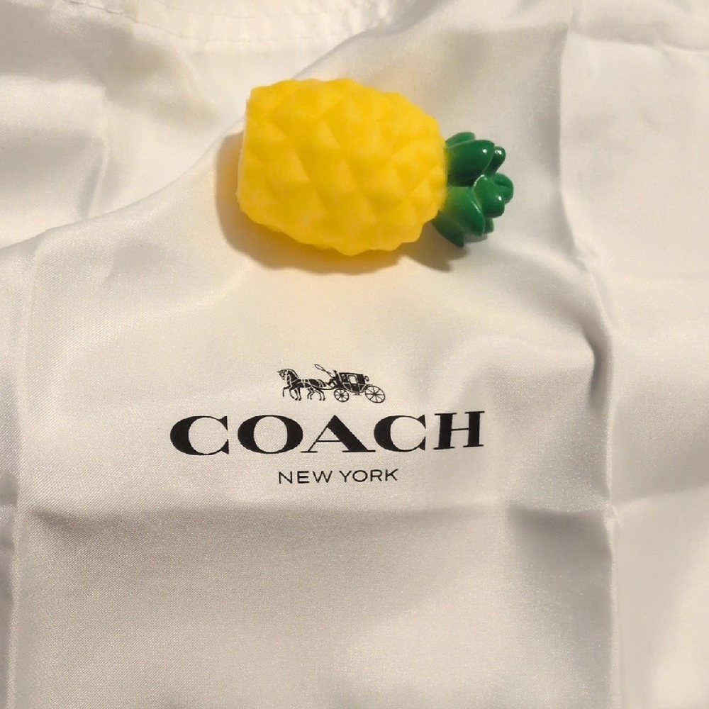 Coach White Big Dust Bag